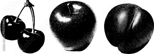 Minimalist engraving of cherry apple and peach with stippling and halftone texture for artistic design