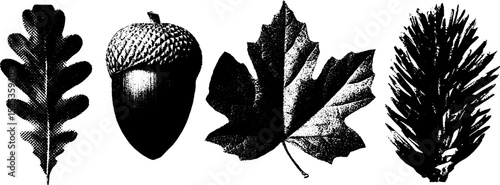 Minimalist nature elements with engraving and stippling texture for design projects