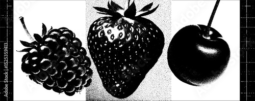 Minimalist stippling and halftone textures of berry fruits for artistic design