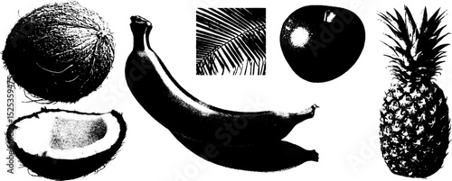 Minimalist tropical fruits design with engraving and stippling texture for art prints