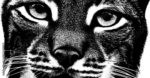 Vintage stipple engraving of feline face with halftone texture for art design