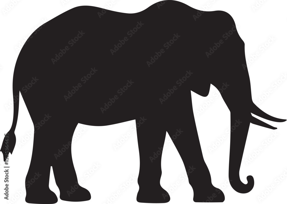 Fototapeta premium elephant isolated on white