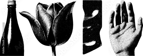 Vintage engraving with stippling technique featuring bottle, tulip, abstract shape, and hand