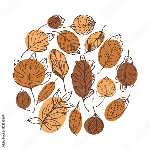 Hand-drawn autumn leaves in a circle.  Vector sketch illustration