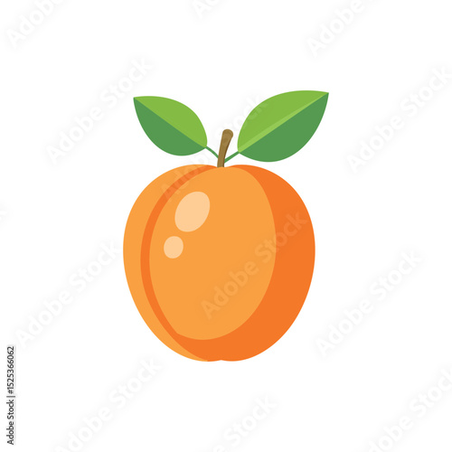 Fresh Apricot Fruit with Green Leaves Vector Illustration.