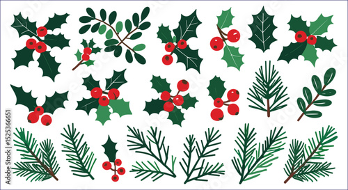 Hand Drawn Christmas Foliage With Holly Berries And Pine Tree Branches