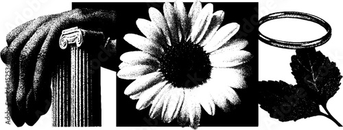 Vintage engraving with stippling and halftone texture featuring classical elements and floral motifs