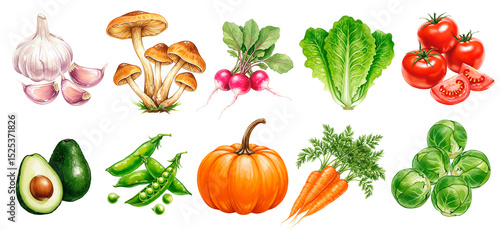 Fresh vegetables for healthy cooking. Healthy choices, healthy lifestyle, healthy meals.
