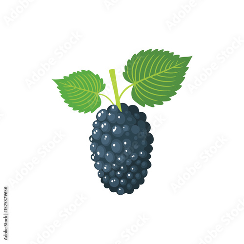 Minimalist Blackberry Illustration with Leaves , Vector Fruit Art for Design.
