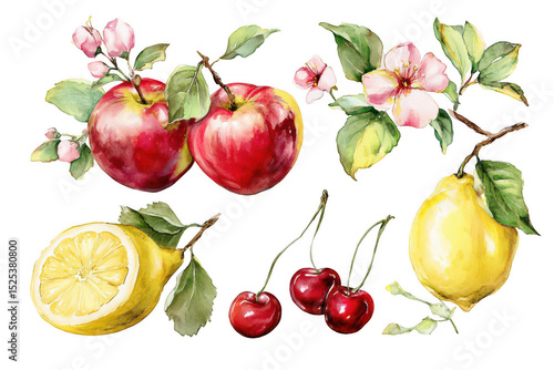 Set of apples, cherries, and lemons with floral watercolor illustration on a white background, png, transparent
