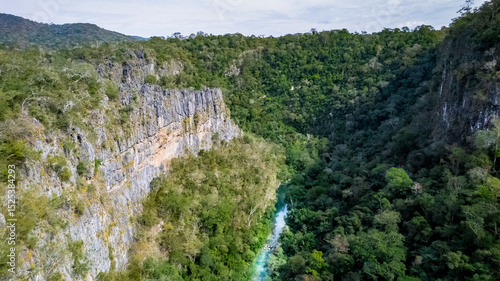 Принти на полотні Rio Salobra - Serra da Bodoquena