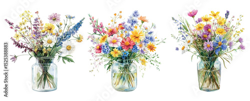 Watercolor set of bouquets of wildflowers in vases. Bouquet of wildflowers from cornflowers, chamomiles, lavender and other meadow flowers in a vase. Rural botany concept.