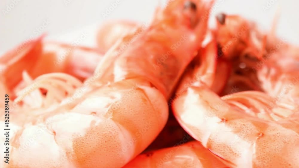 Close-up View of Cooked Pink Shrimp Pile Close-up View of Cooked Pink Shrimp Pile