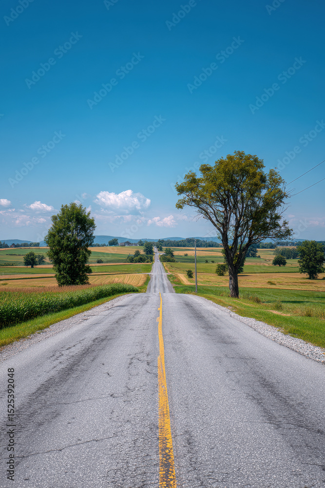 Fototapeta premium long asphalt road stretching towards horizon surrounded by lush green fields and clear blue sky