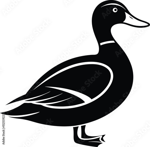 Duck line art, bird silhouette vector, minimal animal icon, waterfowl outline design, simple nature graphic