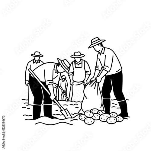 Team harvesting potatoes with collaboration on transparent background for agricultural work