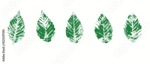 Natural leaves imprint, grunge style, vector, isolated, decorative elements for design	
