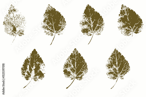 Natural leaves imprint, grunge style, vector, isolated, decorative elements for design	
