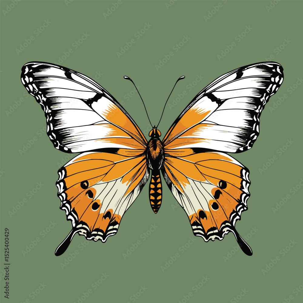 Fototapeta premium comic book style vector butterfly illustration