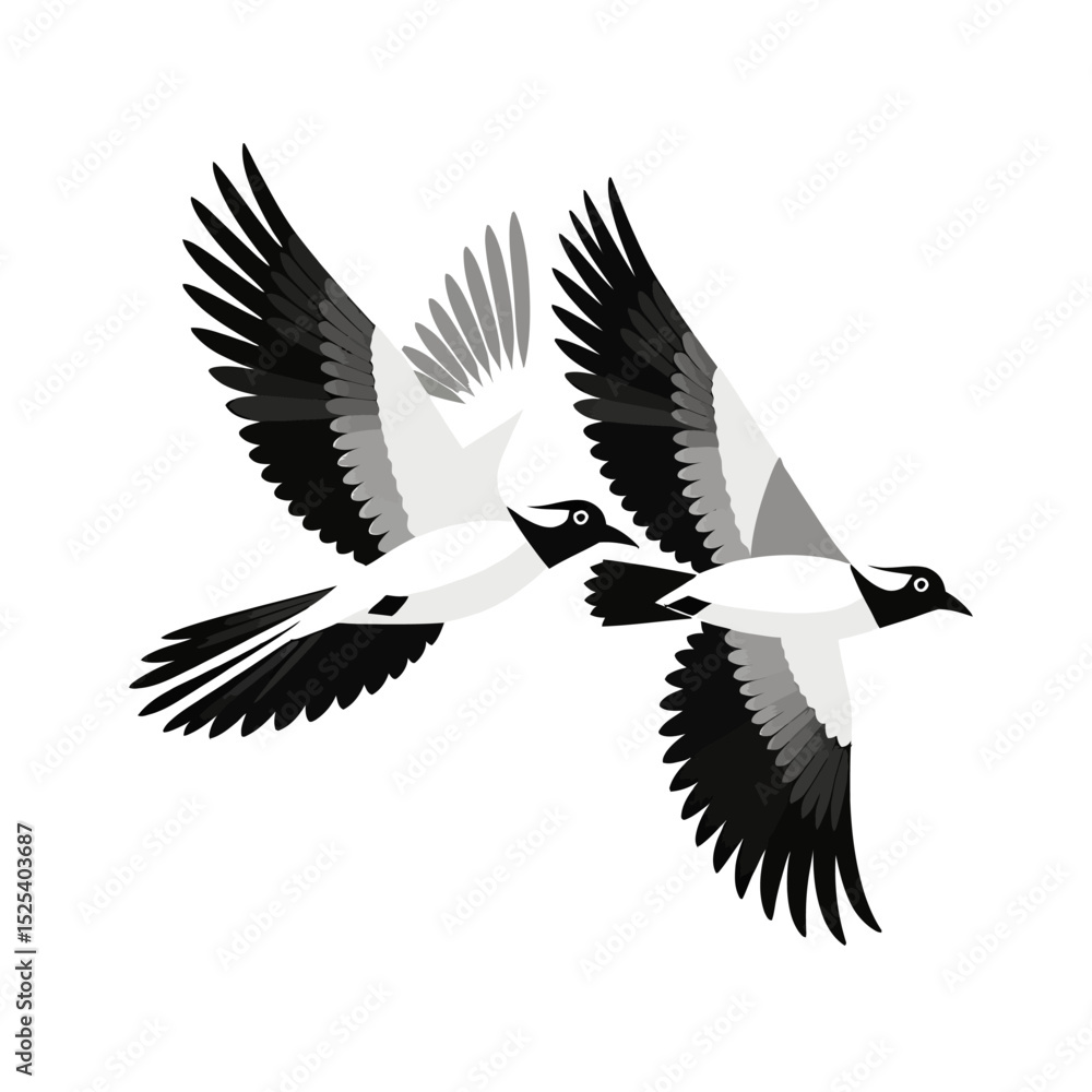 Obraz premium Two Northern Lapwing Birds in Flight- Elegant Black and White Bird Illustration- Minimalist Design- Nature Inspired Art- Vector Graphic of Vanellus Vanellus_