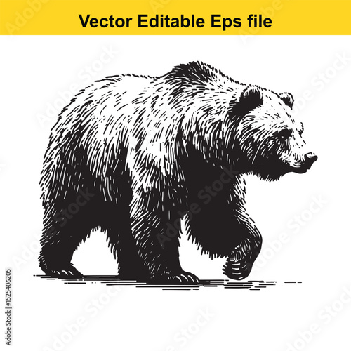 Majestic Brown Bear Walking in the Wild: A Hand-Drawn Illustration