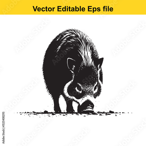 A black and white vector illustration of a peccary rooting in the ground