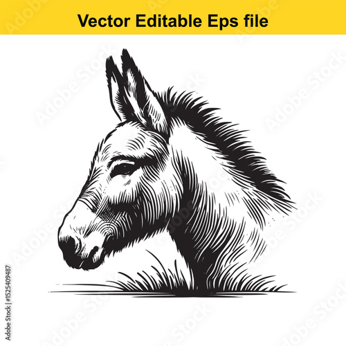 A black and white illustration of a donkey's head