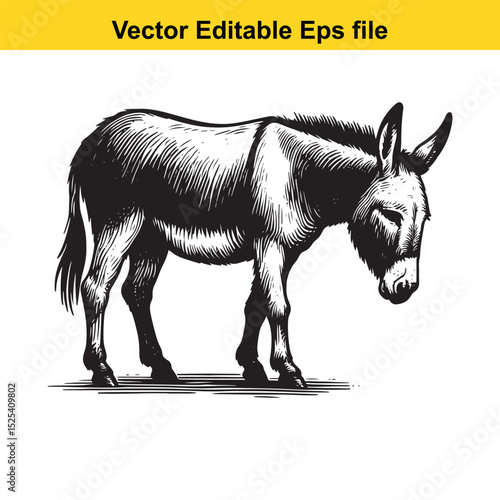 A black and white vector illustration of a donkey