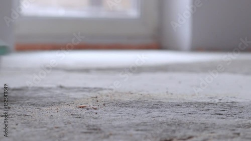 Close-up of a dusty concrete floor being swept clean with a sweeping broom in an empty indoor space. Sunlight softly highlights the dust particles. Blurry background with a window.
