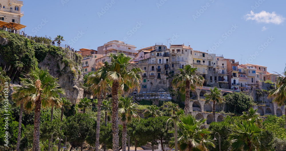 Obraz premium Palm trees framing the picturesque town of Tropea, perched on a cliff overlooking the Tyrrhenian Sea in Calabria, Southern Italy