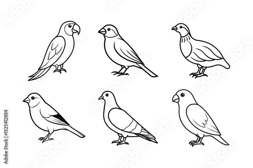 Set of verities birds line art vector illustration