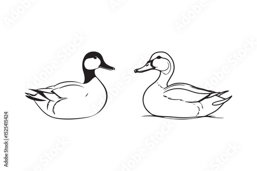 Line Art Ducks Illustration Minimalist Swimming Duck Pair Drawing