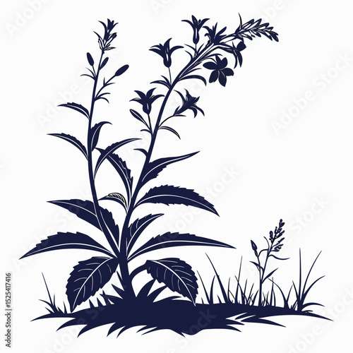 Принти на полотні vector black silhouette of great lobelia