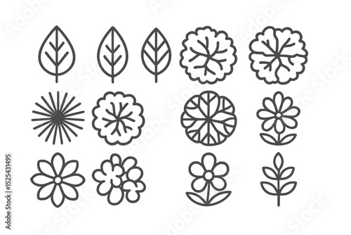 Floral illustrations depicting various leaves and flowers for design projects and artistic inspiration