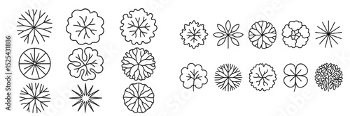 Various botanical illustrations showcasing diverse leaf and flower designs for artistic inspiration and educational purposes