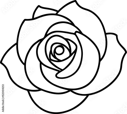 Simple detailed outline illustration of a blooming rose in black and white floral design