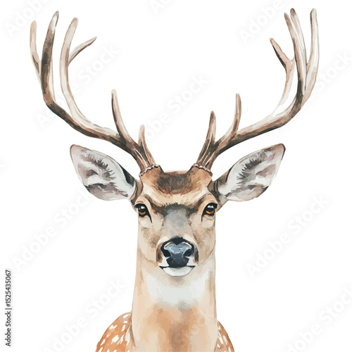 watercolor of Deer Close Up, vector high quality, isolated on a white background.