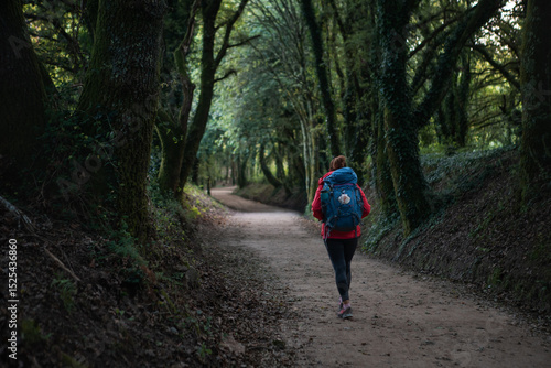 Foto Back view of lonely female backpacker walking along path through forest tree tunnel