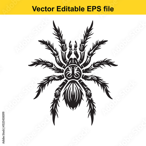Vector illustration of a stylized tarantula spider, black and white, suitable for tattoo designs or other graphic applications