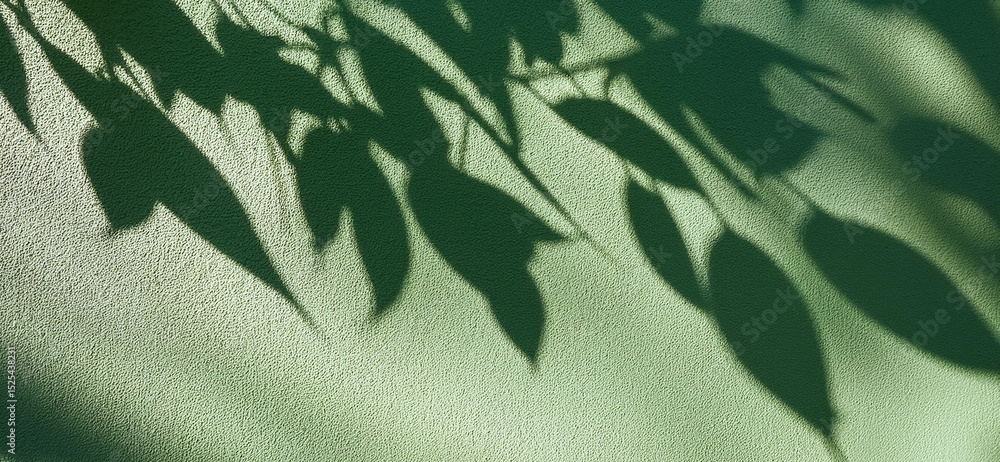 Shadow of leaves on the wall - detailed shadows in late light on light green facade Shadow of leaves on the wall - detailed shadows in late light on light green facade