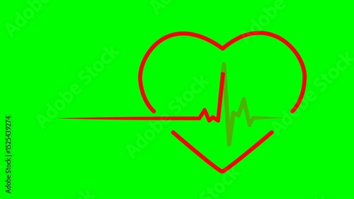 Love heart rate and pulse line animation. Heart health care medical symbol. Chroma key green screen