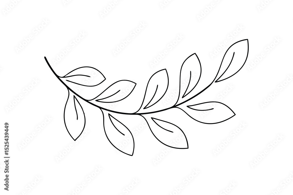 Simple line drawing of elegant branch with leaves Simple line drawing of elegant branch with leaves