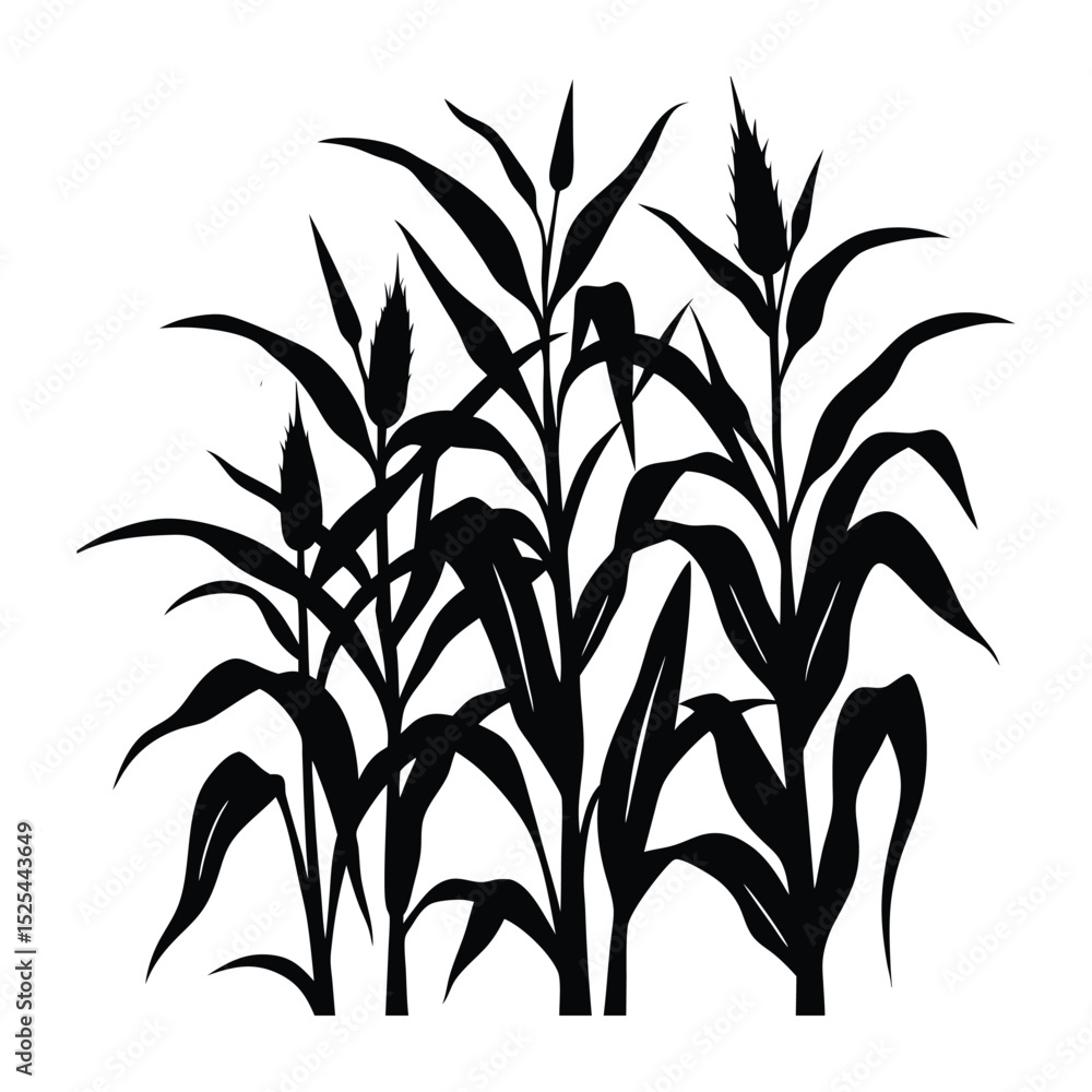 Obraz premium create corn stalk silhouette.