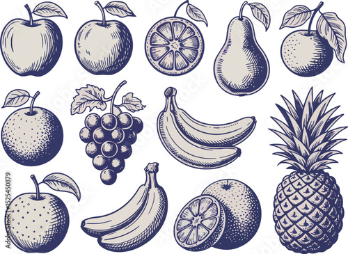 a collection of various fruits rendered in a vintage engraving style. Detailed black and white illustrations of apples, pears, grapes, bananas, and pineapple are featured. The artwork has a classic, h