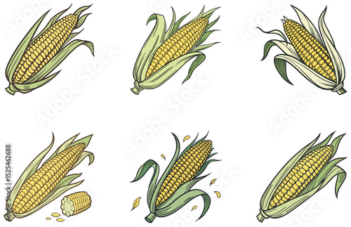 Corn Cobs Vector Design Flat and Clean Illustration of Whole Corn for Farm, Food, and Harvest-Themed Projects