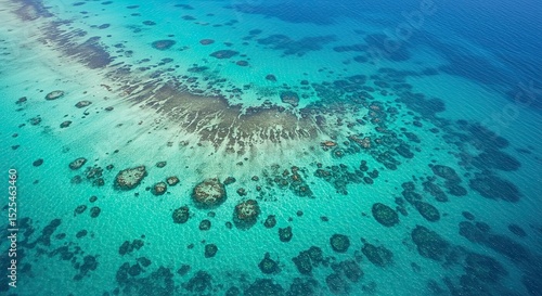 Fototapeta Naklejka Na Ścianę i Meble -  Aerial view of a vibrant turquoise ocean with coral reefs and clear blue water