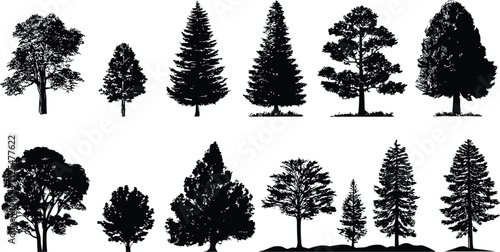 Black Silhouette Set of Diverse Tree Species | High-Quality Vector Illustrations Showcasing Unique Botanical Forms and Structures