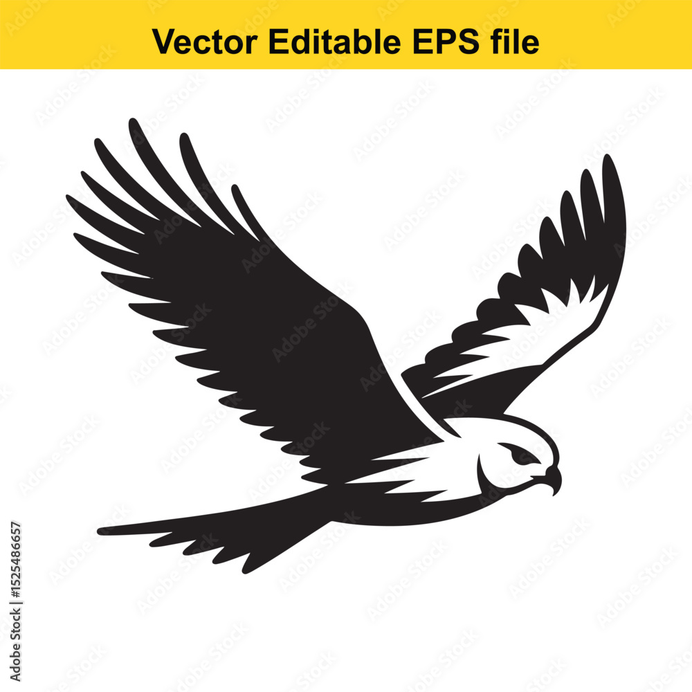 Obraz premium Black and white vector illustration of a hawk in flight