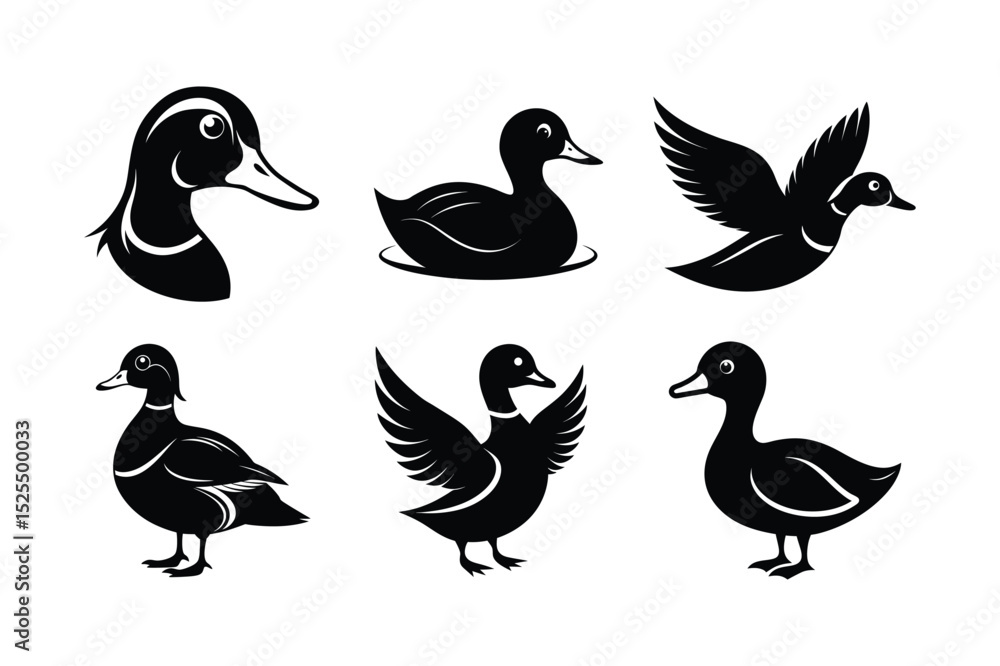 Obraz premium Duck Silhouette vector , Wood duck Silhouette vector bundle 