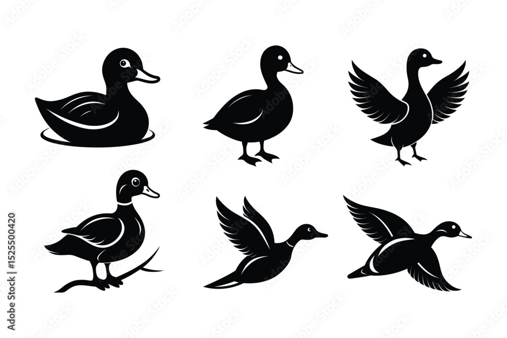 Obraz premium Duck Silhouette vector , Wood duck Silhouette vector bundle 